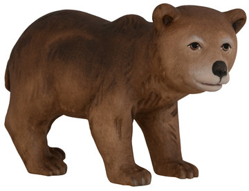 Bear SA4341 (1,57", color)