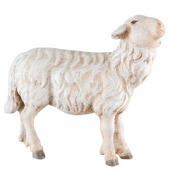 Schaf rechtsschauend SA29623 (10 cm, lasiert)