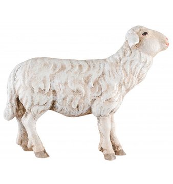 Schaf vorwärts schauend SA29624 (10 cm, lasiert)