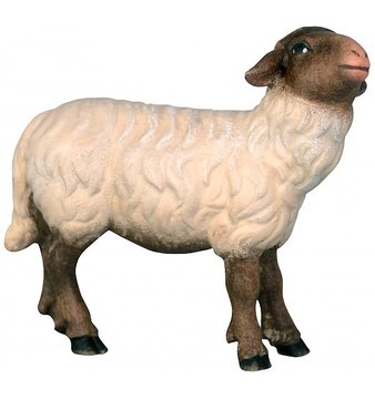 Schwarzes Schaf mit weißem Fell SA29625 (10 cm, lasiert)