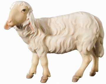 Sheep standing right 800--47 (3,15", color)