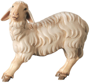 Sheep frightened 800--49 (3,15", color)