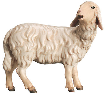 Sheep head turned 800--51 (3,15", color)