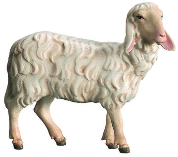 Schaf stehend AR852 (8 cm, lasiert)