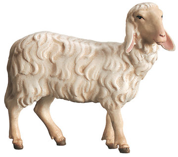 Sheep standing 800--52 (3,15", color)