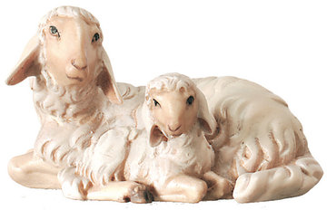 Sheepgroup 800--53 (3,15", color)