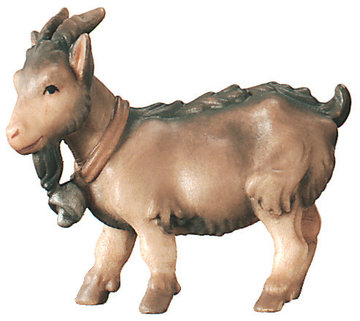 Dwarf goat 800--59 (3,15", color)