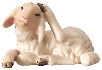 Lamb scratching 800--65 (3,15", color)