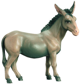 Donkey 800--42 (3,15", color)