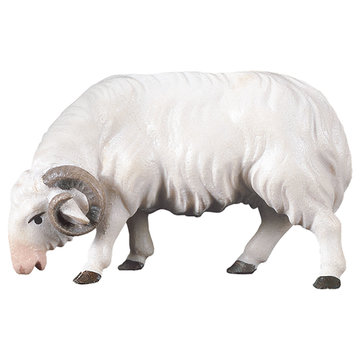 RE Montone UP800134 (10 cm, colore)