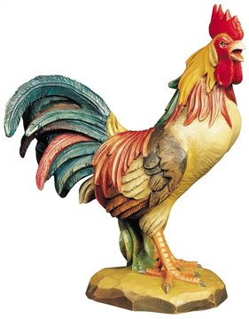 Cock BW6201 (0,98", color)