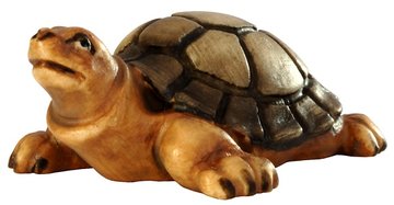 Turtle BW6331 (0,35", color)