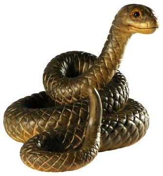 Snake BW6341 (0,71", color)