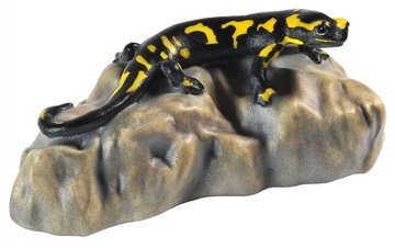 Salamander on stone BW6351 (0,28", color)