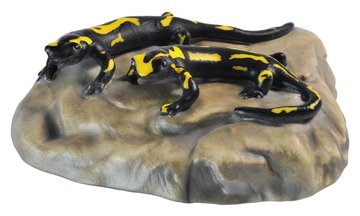 Two salamander on stone BW6352 (0,28", color)