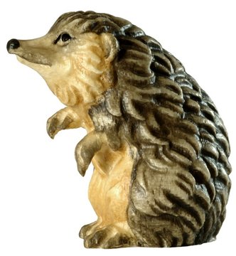 Hedgehog standing BW6913 (0,55", color)
