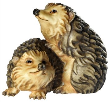 Young hedgehogcouple BW6914 (0,43", color)