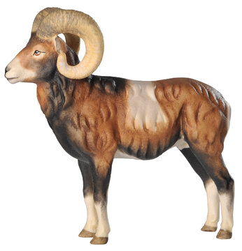 Mufflon BW7015 (1,57", color)