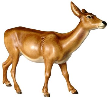 Doe BW7022 (2,44", color)
