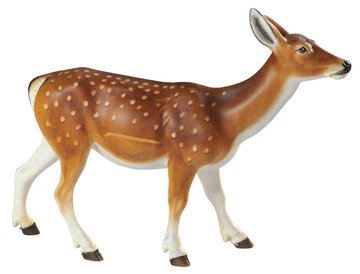 Fallow deer female BW7027 (2,44", color)