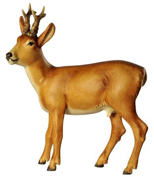 Deer BW7035 (2,40", color)