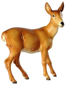 Doe BW7036 (2,05", color)