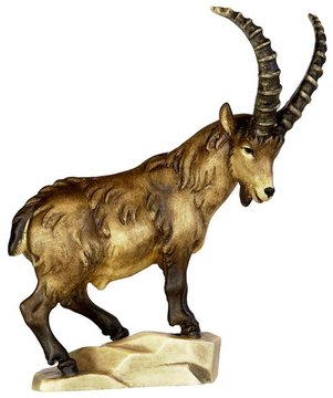 Ibex BW7041 (2,60", color)