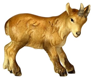 Ibex kid BW7042 (1,14", color)