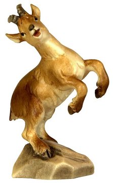 Ibex kid  -  head on rx BW7043 (1,93", color)