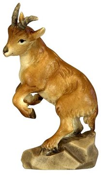 Ibex kid standing  -  head sx BW7044 (2,01", color)