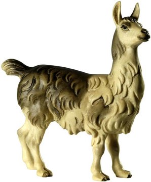 Llama BW7051 (2,64", color)