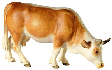Cow grazing BW7071 (1,57", color)
