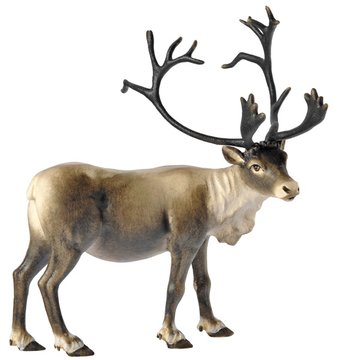 Reindeer BW7085 (2,76", color)
