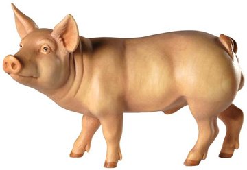 Pig BW7311 (1,93", color)