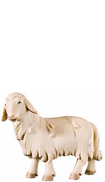 N - Pecora che guarda FI424441 (11 cm, colore)